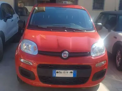 Usata Fiat Panda Pop 69 CV (50 kW) 2022 Rosso Utilitaria
