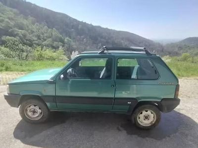 Usata Fiat Panda Trekking 54 CV (39 kW) 2000 Verde Berlina