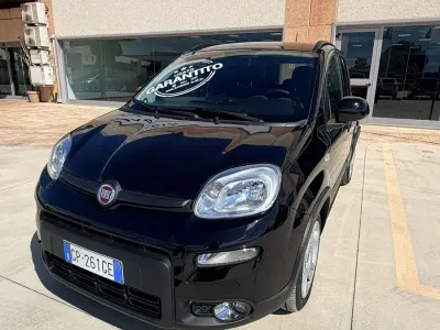 Gebraucht Fiat Panda 69 PS (50 kW) 2023 Schwarz Kleinwagen