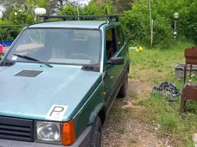 Usata Fiat Panda 4x4 50 CV (36 kW) 2002 Verde Utilitaria