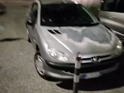 Usata Peugeot 206