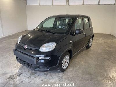 usata Fiat Panda Panda 1PH My24 1.0 70cv Hybrid