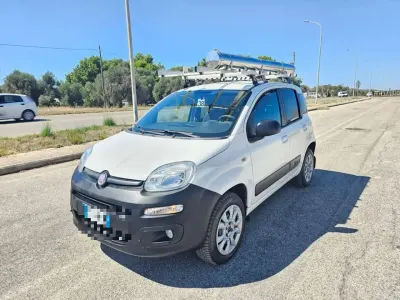 Usata Fiat Panda 4x4 Climbing 75 CV (55 kW) 2014 Bianco Utilitaria