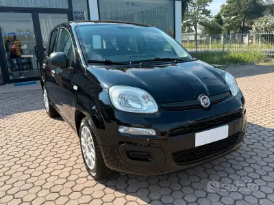 Usata Fiat Panda Lounge 69 CV (50 kW) 2019 Nero Utilitaria