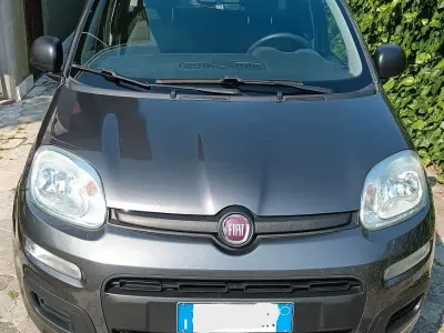 Usata Fiat Panda Easy 69 CV (50 kW) 2018 Grigio Utilitaria