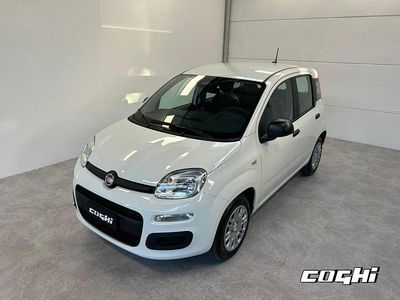Nuova Fiat Panda Icon 69 CV (50 kW) 2025 Grigio Berlina