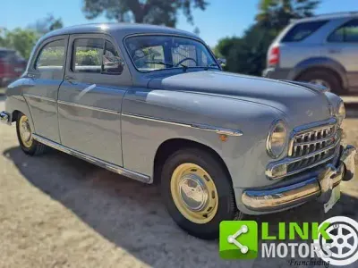 Usata Fiat 1900 58 CV (42 kW) 1953 Grigio Berlina