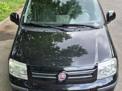 Usata Fiat Panda Dynamic 60 CV (44 kW) 2010 Nero Utilitaria