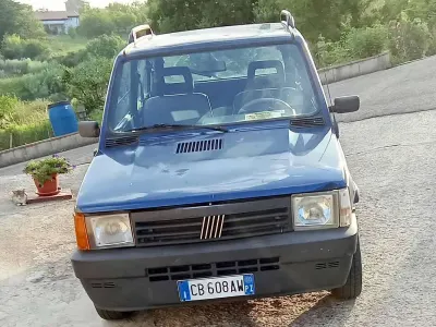 Usata Fiat Panda