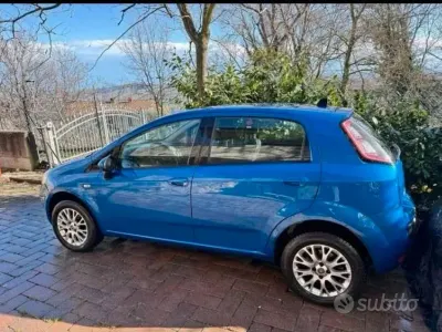 Usata Fiat Punto Evo 65 CV (47 kW) 2011 Bluazzurro Utilitaria