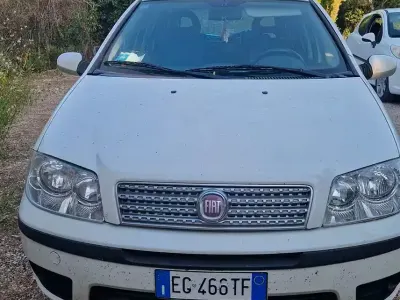 Usata Fiat Punto