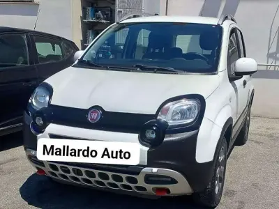 Usata Fiat Panda Cross Cross 95 CV (69 kW) 2017 Bianco Utilitaria