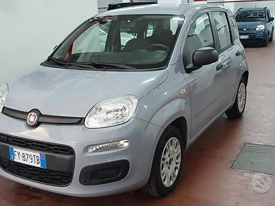 Usata Fiat Panda Easy 69 CV (50 kW) 2019 Grigio Utilitaria