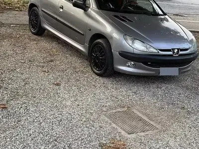 Usata Peugeot 206
