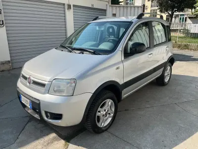 Usata Fiat Panda 4x4 Climbing 75 CV (55 kW) 2011 Argento Utilitaria