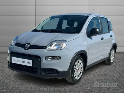Usata Fiat Panda S 70 CV (51 kW) 2023 Grigio Utilitaria