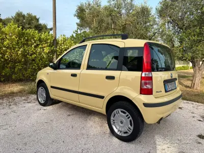 Usata Fiat Panda Dynamic 60 CV (44 kW) 2007 Giallo Utilitaria