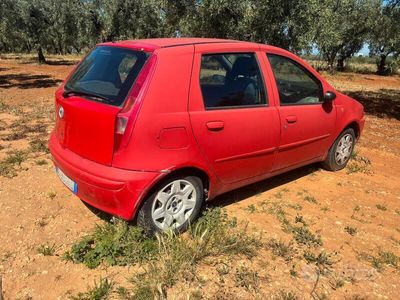 usata Fiat Punto 