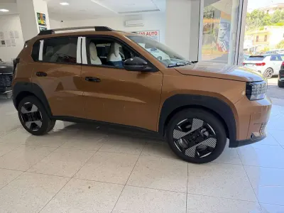Usata Fiat Grande Panda