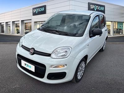 Usata Fiat Panda S 70 CV (51 kW) 2021 Bianco Utilitaria