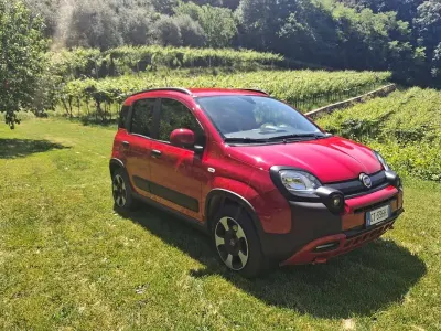 Usata Fiat Panda Cross Cross 69 CV (50 kW) 2024 Utilitaria