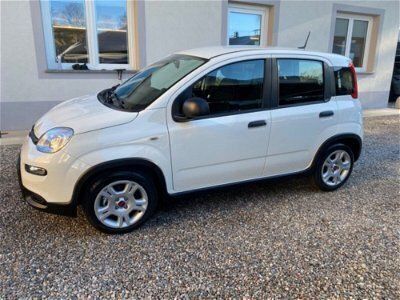 usata Fiat Panda Cross 1.0 FireFly S&S Hybrid City nuovo