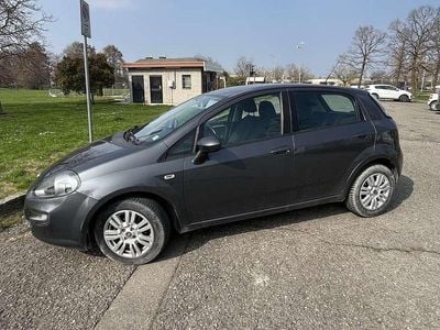 Usata Fiat Punto Lounge 75 CV (55 kW) 2014 Utilitaria