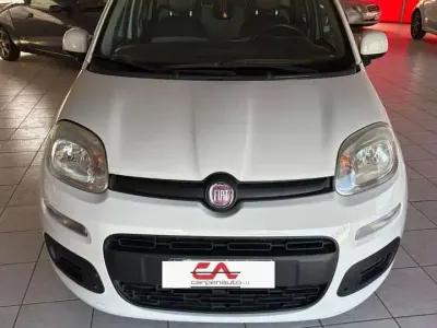Usata Fiat Panda Trekking 75 CV (55 kW) 2014 Bianco Utilitaria