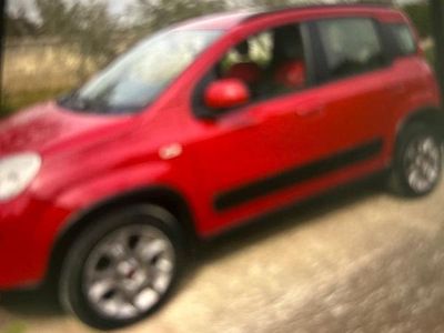 Usata Fiat Panda 4x4 2014 Rosso Utilitaria