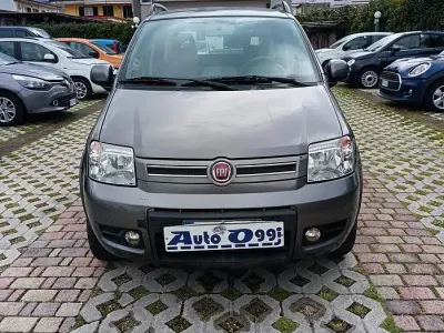 Usata Fiat Panda 4x4 Climbing 75 CV (55 kW) 2012 Grigio Utilitaria