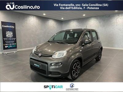 usata Fiat Panda Cross 1.0 FireFly S&S Hybrid City