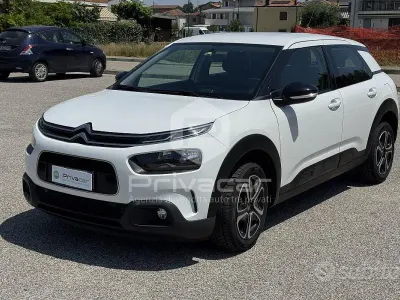 Usata Citroën C4 Cactus Feel 110 CV (80 kW) 2020 Bianco Utilitaria