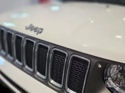Usata Jeep Renegade Limited 120 CV (88 kW) 2019 Bianco SUV