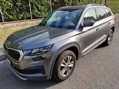 Occasion Skoda Kodiaq
