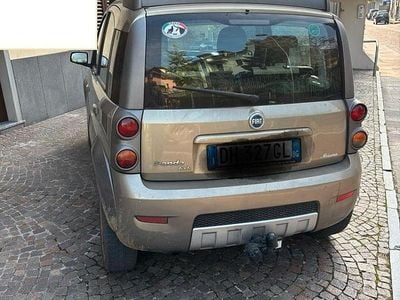 Usata Fiat Panda 4x4 95 CV (69 kW) 2007 Grigio Utilitaria