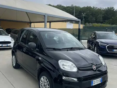 Usata Fiat Panda Easy 69 CV (50 kW) 2021 Nero Utilitaria