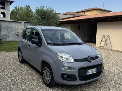 Usata Fiat Panda Easy 69 CV (50 kW) 2020 Utilitaria