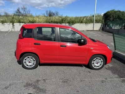 Usata Fiat Panda Easy 69 CV (50 kW) 2021 Utilitaria