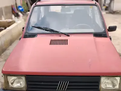Usata Fiat Panda