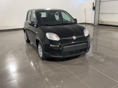 usata Fiat Panda 1.0 FireFly S&S Hybrid_Km0