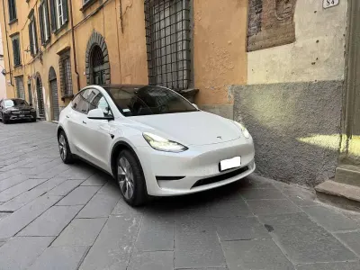 Usata Tesla Model Y RWD 88 kW (120 CV) 2023 Bianco SUV