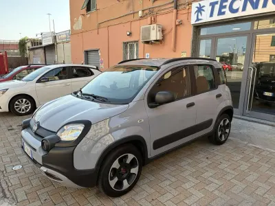 Usata Fiat Panda Cross Cross 69 CV (50 kW) 2020 Grigio Utilitaria