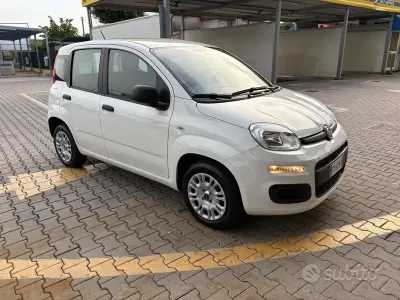 Usata Fiat Panda Lounge 69 CV (50 kW) 2019 Bianco Utilitaria