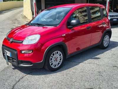 Begagnad Fiat Panda 69 HK (50 kW) 2024 Röd Halvkombi