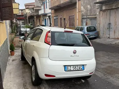 Usata Fiat Punto Evo