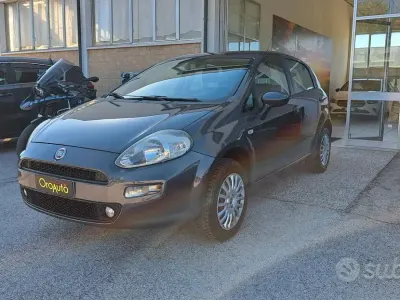 Usata Fiat Punto 70 CV (51 kW) 2015 Grigio Utilitaria