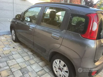 Usata Fiat Panda Lounge 69 CV (50 kW) 2017 Grigio Utilitaria
