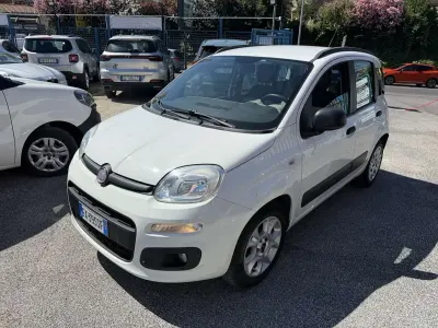 Usata Fiat Panda Lounge 69 CV (50 kW) 2014 Bianco Utilitaria