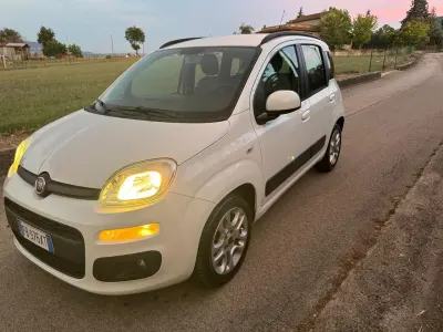 Usata Fiat Panda Lounge 75 CV (55 kW) 2015 Bianco Utilitaria