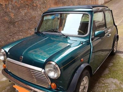 Rover Mini